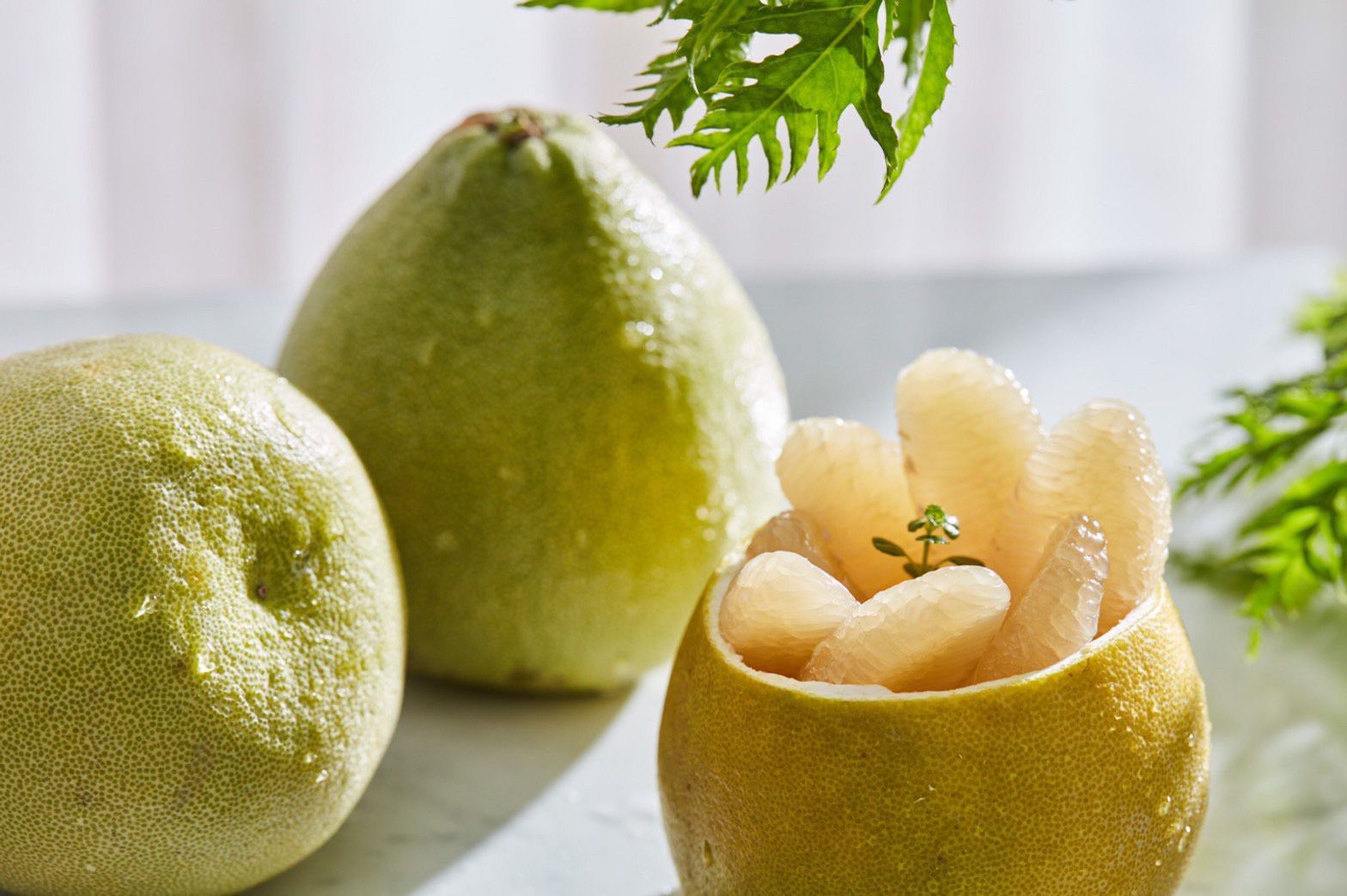 果子禮 - 正宗35年喝乳酸菌長大的老欉文旦5斤裝(6~8顆)*2箱