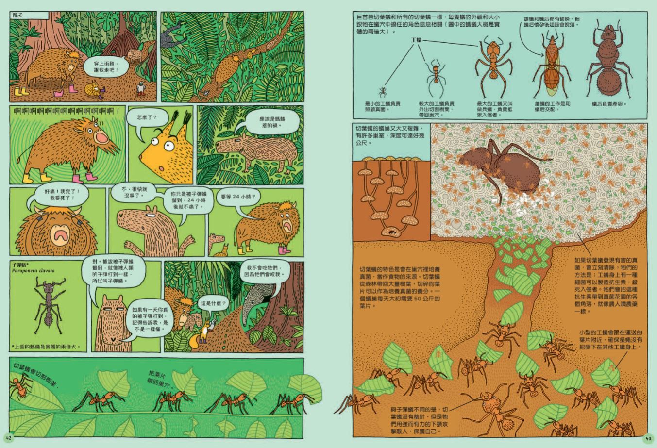 出發吧！環遊世界國家公園