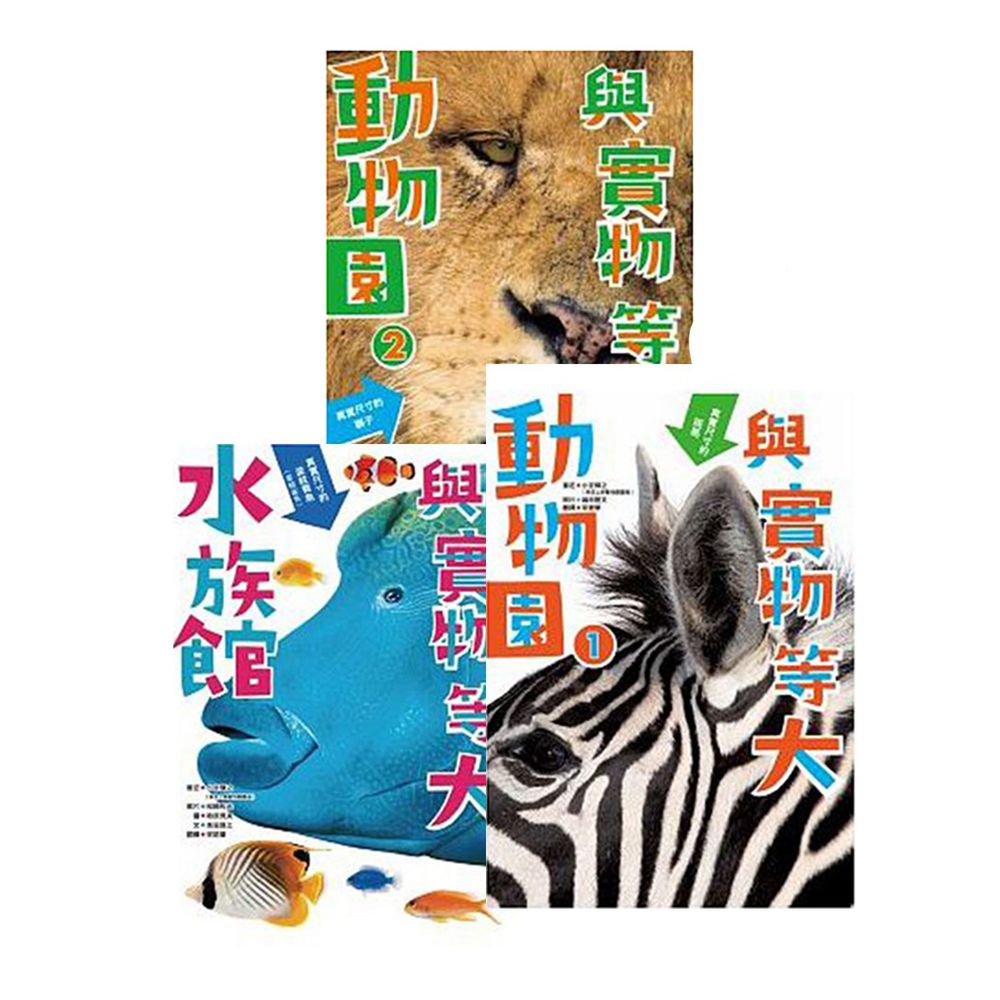 維京國際 - 與實物等大(全套3冊)