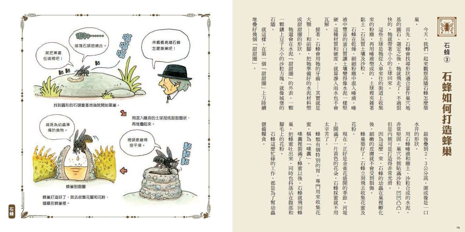 法布爾老師的昆蟲教室：認識昆蟲的本能