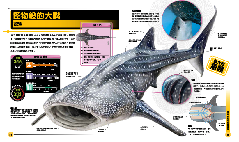 超能力鯊魚百科：驚人的海洋動物大圖解 (精裝 / 208頁 /全彩印刷)