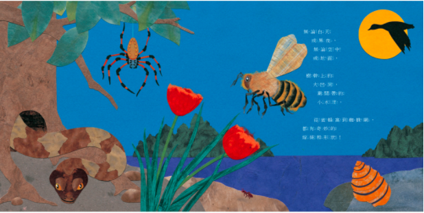 大自然的藝術家──不可思議的線條和形狀