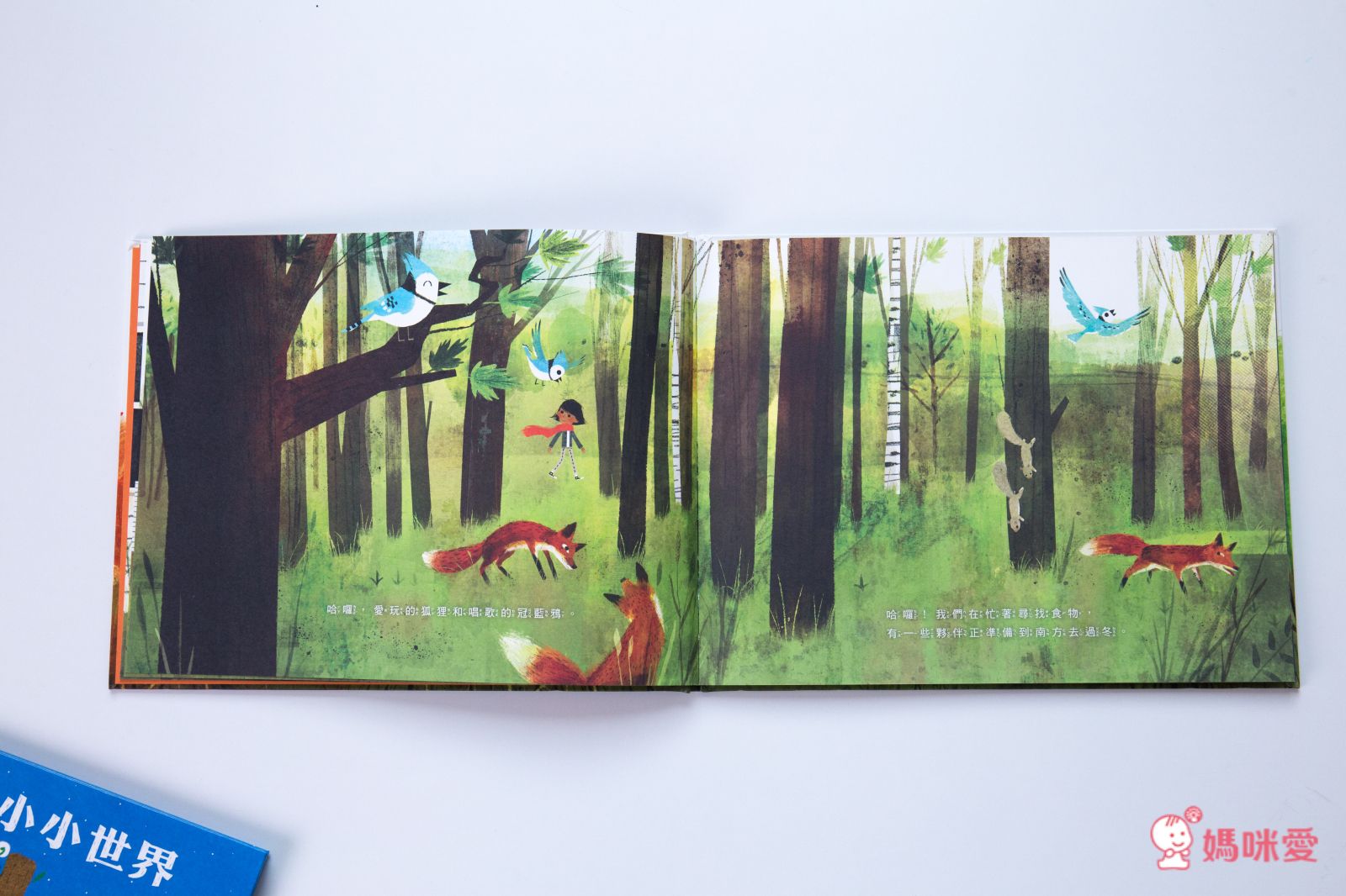 【米奇巴克】法國作家繪本 ❤讀出思辨力❤  哲學思考遊戲書 /《山姆和瓦森》EQ情緒書