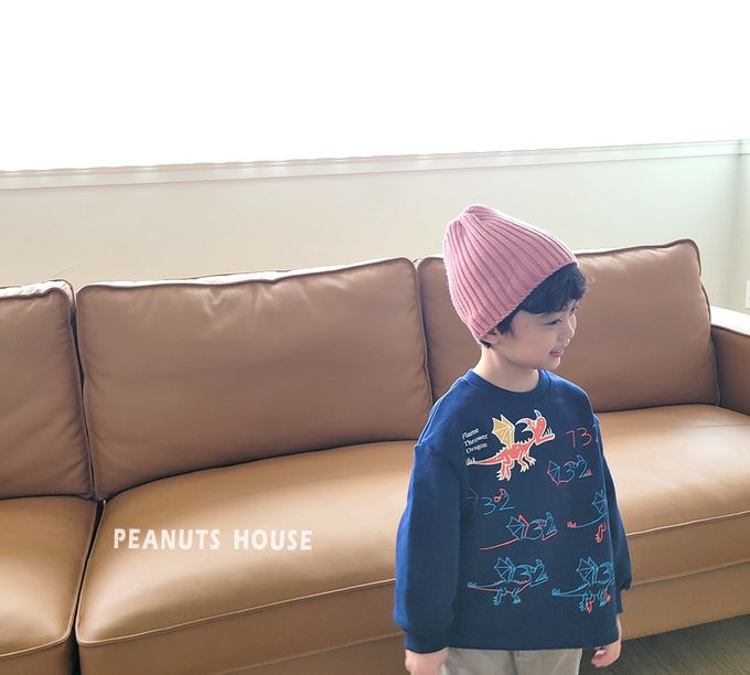 韓國 Peanuts House - (內磨毛)手繪噴火龍長袖上衣-深藍