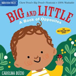 Indestructibles: Big and Little: A Book of Opposites-咬咬書