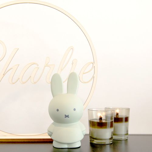 Miffy米菲兔公仔存錢筒(小號)-藍綠色