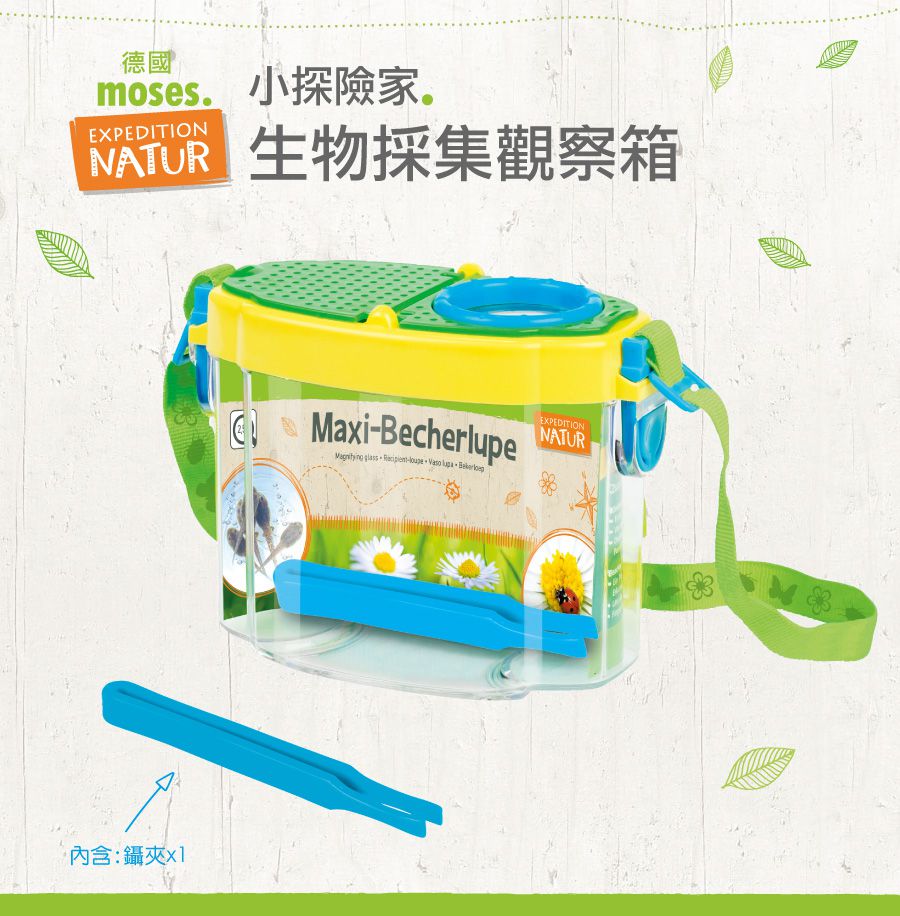 德國 Moses - 小探險家-生物採集觀察箱
