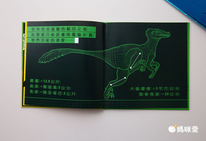 眼見不能為憑！【錯覺偵探團】利用錯視原理打造的偵探讀本