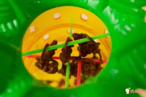 多款降價 38 折起！【美國 Mattel 美泰兒 ✕ Getta 1 Game】好笑桌遊大集合✌