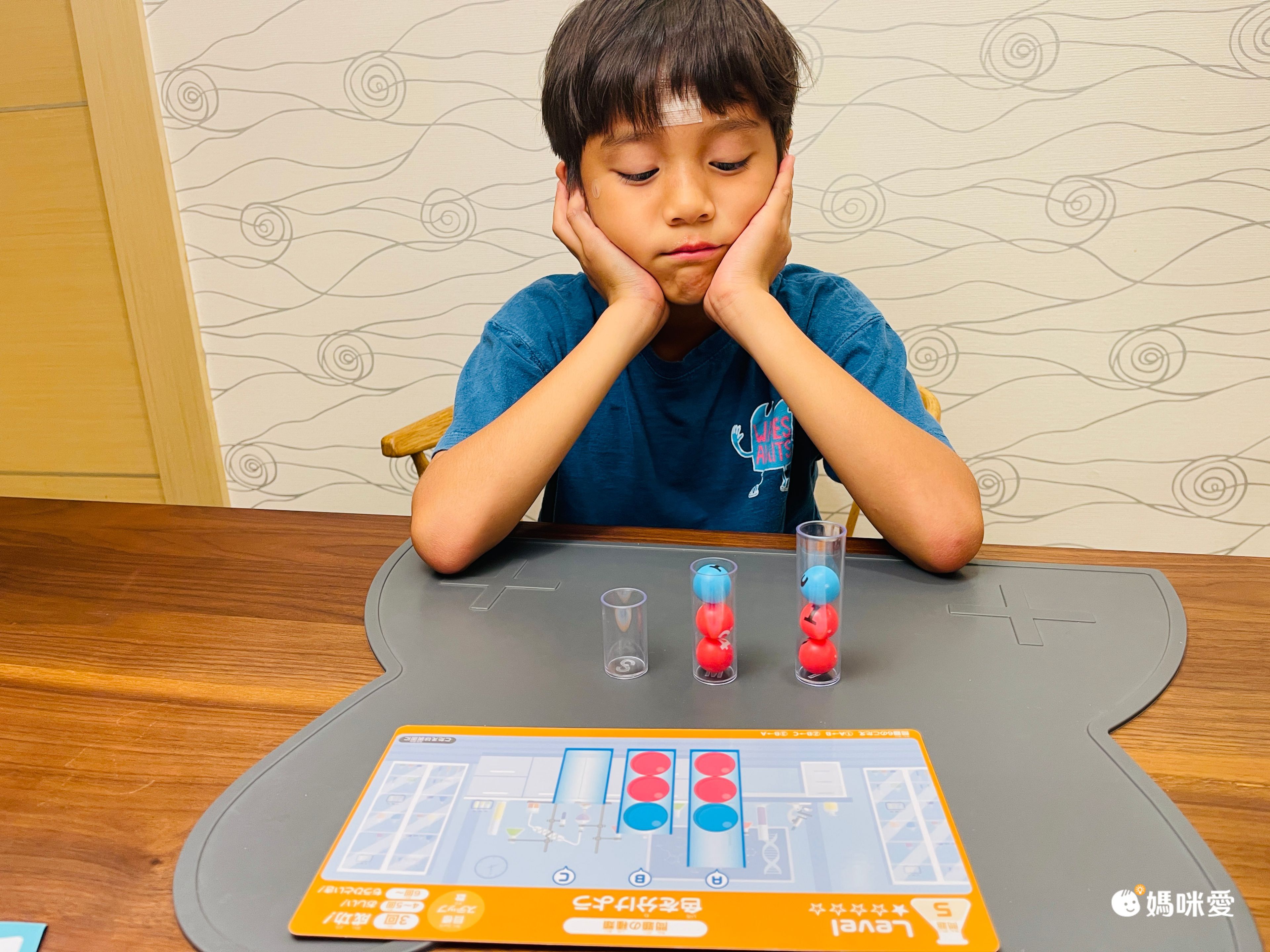 榮獲日本玩具大賞【HANAYAMA】腦力開發益智玩具