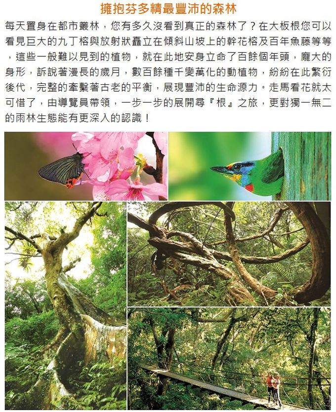 大板根森林溫泉酒店 - (7569)【三峽】大板根森林溫泉酒店-太子雙人房住宿券