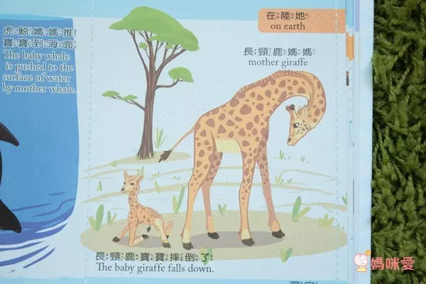 會說話的中英點讀繪本