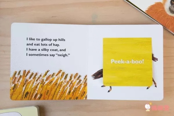 全球知名童書大師艾瑞卡爾Eric Carle ★英文認知硬頁書★ 一歲就能入手～給幼兒最棒的英文學習禮物！