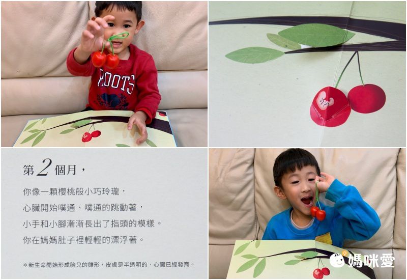 你在媽媽肚子裡的樣子―1：1真實比例小寶寶立體書（立體封面典藏版）