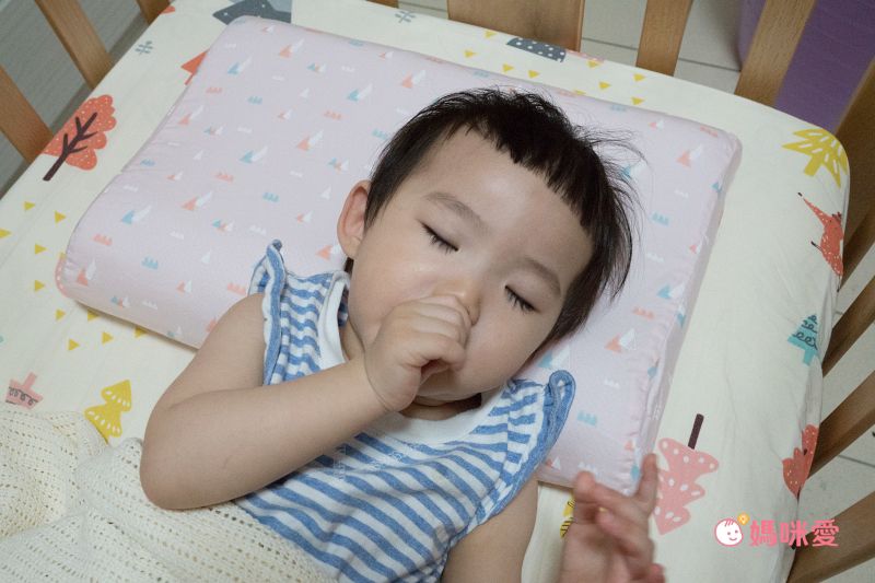 日本 Combi - Airpro水洗空氣-平枕-小山藍 (30x45x3cm)-3個月起