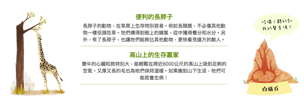 孩子專屬的護身寶典★【親子天下】我的第一套安全知識繪本 / 生命科學繪本 / 家事小幫手 ☞STEAM科學繪本專家推薦！