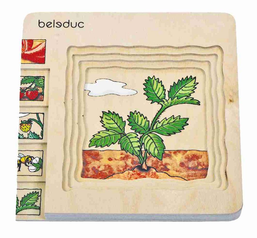 Beleduc - 多層拼圖-草莓
