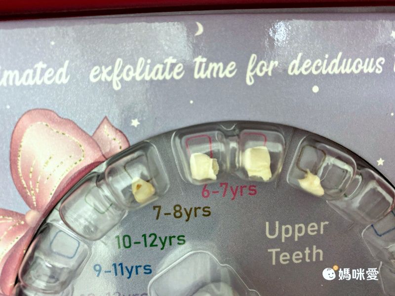 MangoBanana - 乳牙收藏盒-大象泡泡 (17.6 x 17.6 x 4 cm)-英文版