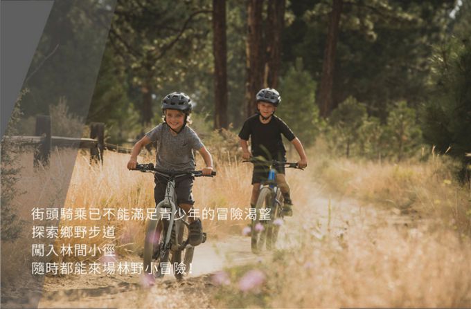 GIANT 捷安特 - XTC JR 24 青少年避震越野自行車-金屬灰 (單一尺寸)