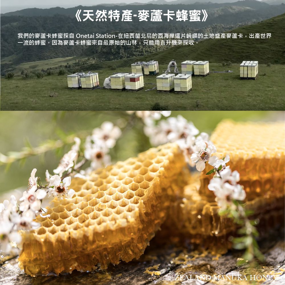 壽滿趣 - Onetai紐西蘭麥蘆卡蜂蜜牛奶抹醬-麥蘆卡蜂蜜牛奶-250公克