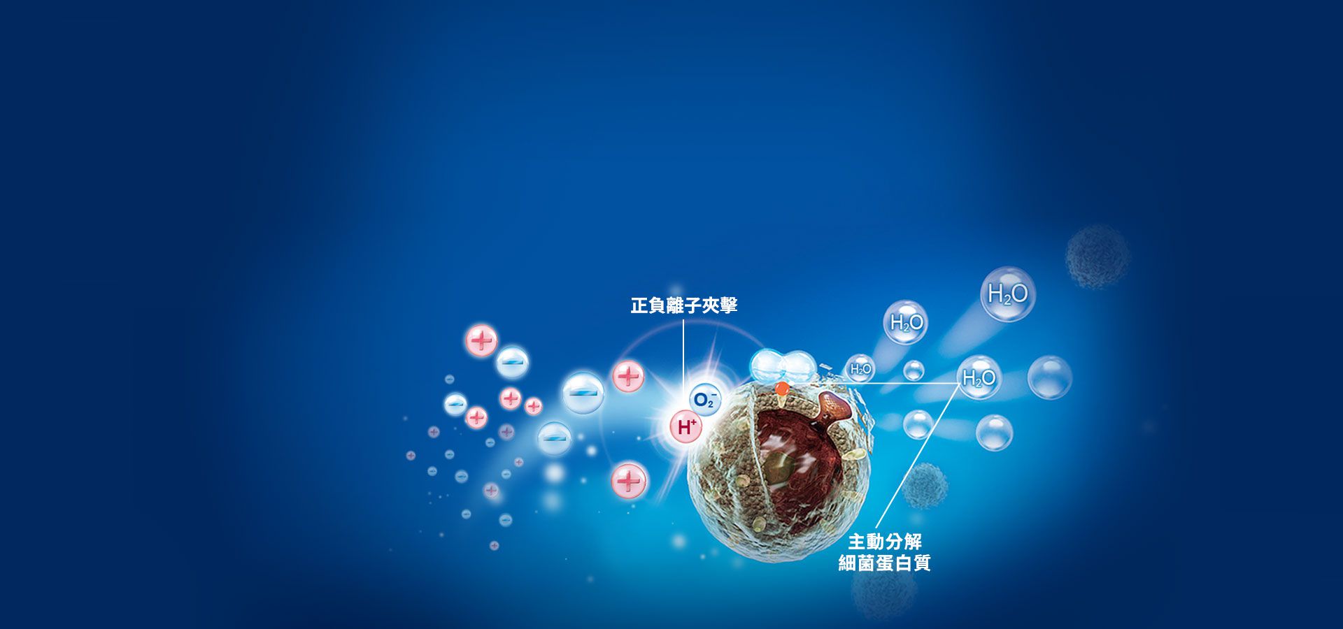 SHARP 夏普 - 蚊取清淨機-6.4坪自動除菌離子/贈送保溫背包-黑-FU-HM30T