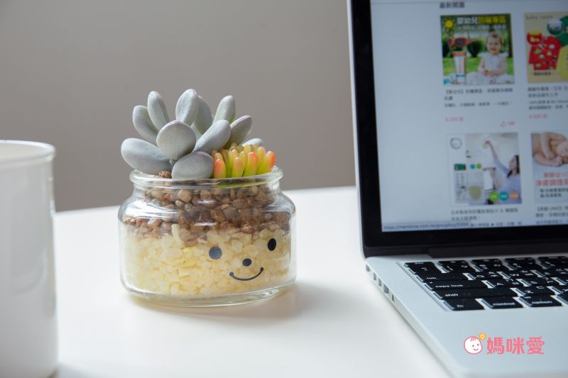 日本 KISHIMA - CT觸媒 開運消臭仿真多肉盆栽-防小人-Adele (S(6.5x7x11cm))