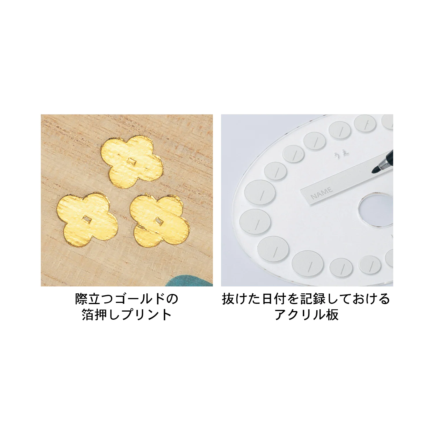 日本千趣會 - 聯名款 日本製桐木乳齒收納盒-美好花園 (11x9x2.3cm)