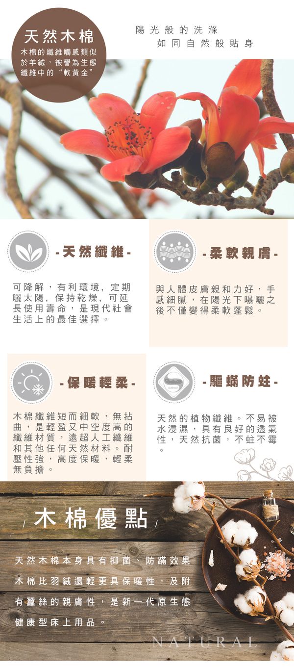 格蕾寢飾 Great Living - 義大利La Belle《天然珍絲原棉被》 (單人)