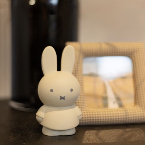 Miffy米菲兔公仔存錢筒(小號)-大地色