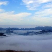 用戶頭像