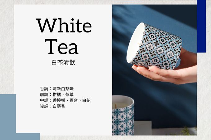 NY LAB 紐約實驗室 - 鄉村手工香氛蠟燭 7oz(White Tea 白茶清歡)-重量 : 200g