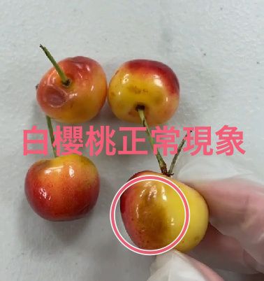 最低一盒不用$700！夏季限定！美國華盛頓直送 9ROW紅櫻桃