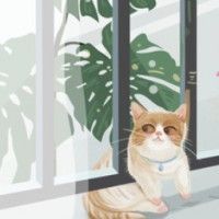 用戶頭像