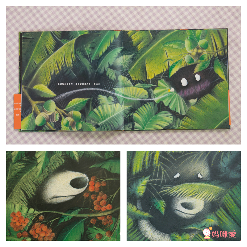 愛台灣繪本66折起♔【任選二件再88折】暢銷榜台灣地圖～極美插畫，根本大人收藏品！