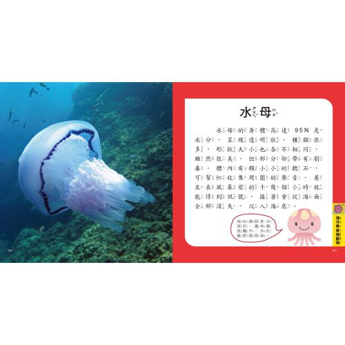 海洋圖鑑小百科