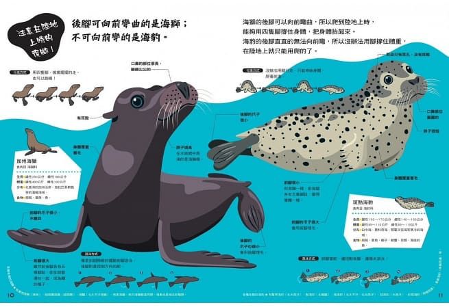 哪個是哪個？動物比較圖鑑（新版）