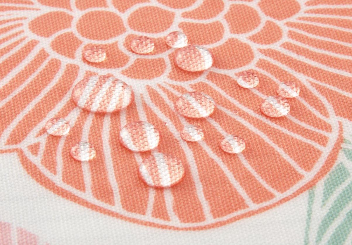 日本千趣會 - mini labo 去泥污腳踏墊-法蘭西花朵-藍綠