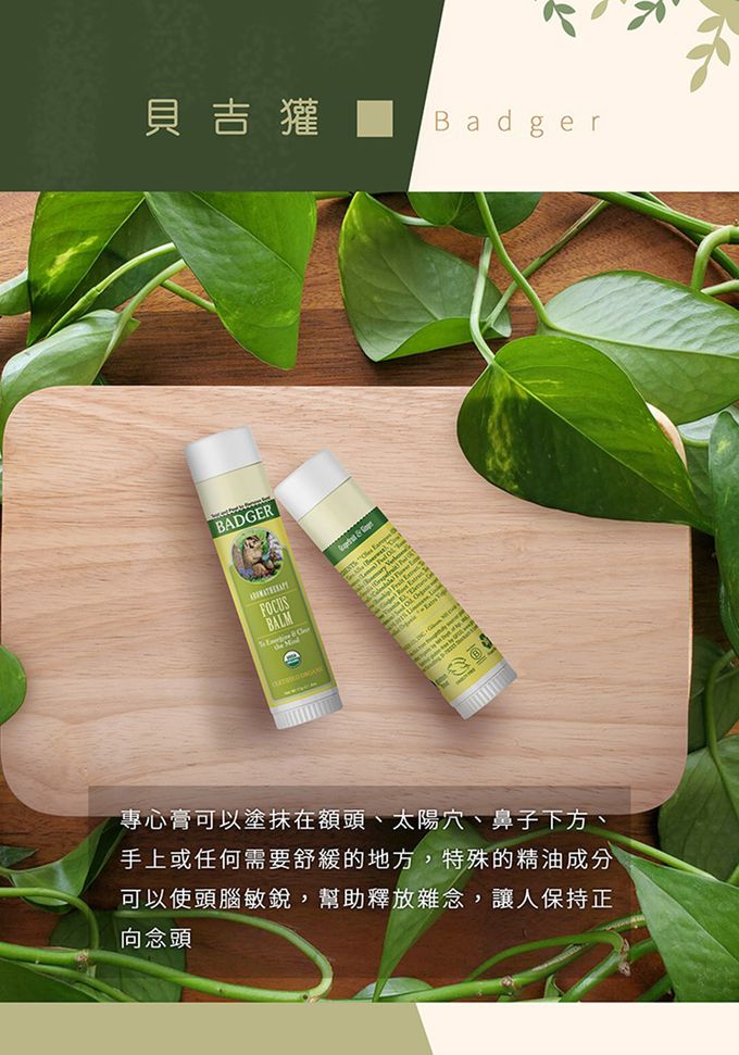 美國 Badger 貝吉獾 - 專心膏