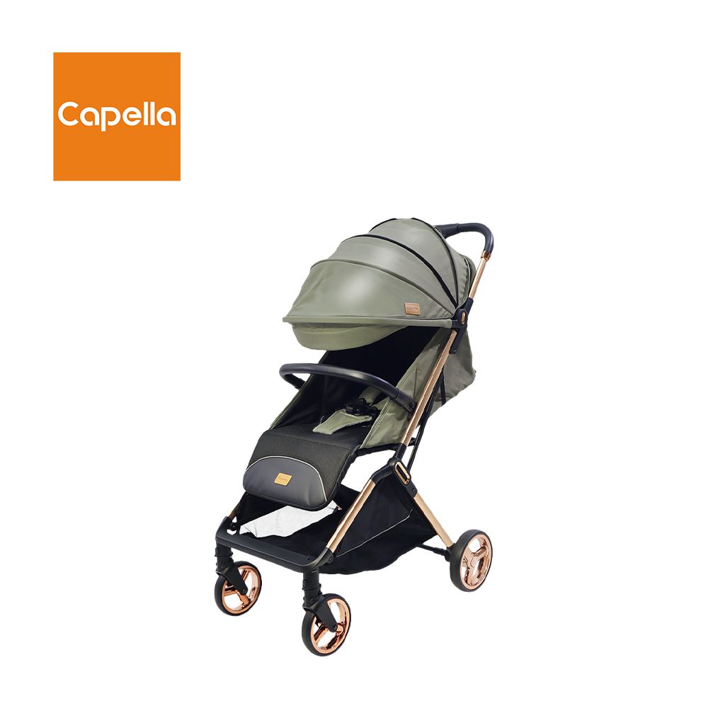 韓國 X9 PRO V6 可登機輕量極致完美手推車-莫蘭迪綠