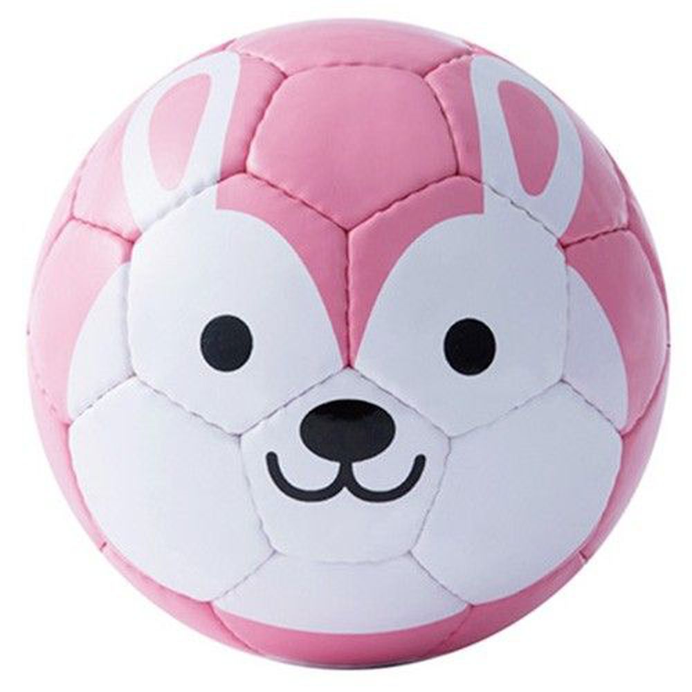 FOOTBALL ZOO - 日本專業兒童足球-Rabbit兔子