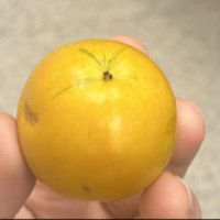 用戶頭像