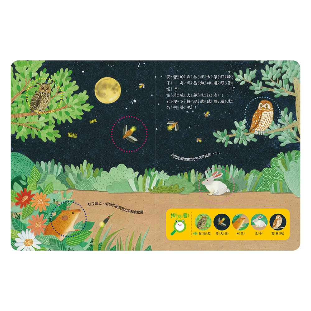 放大鏡有聲書-自然觀察