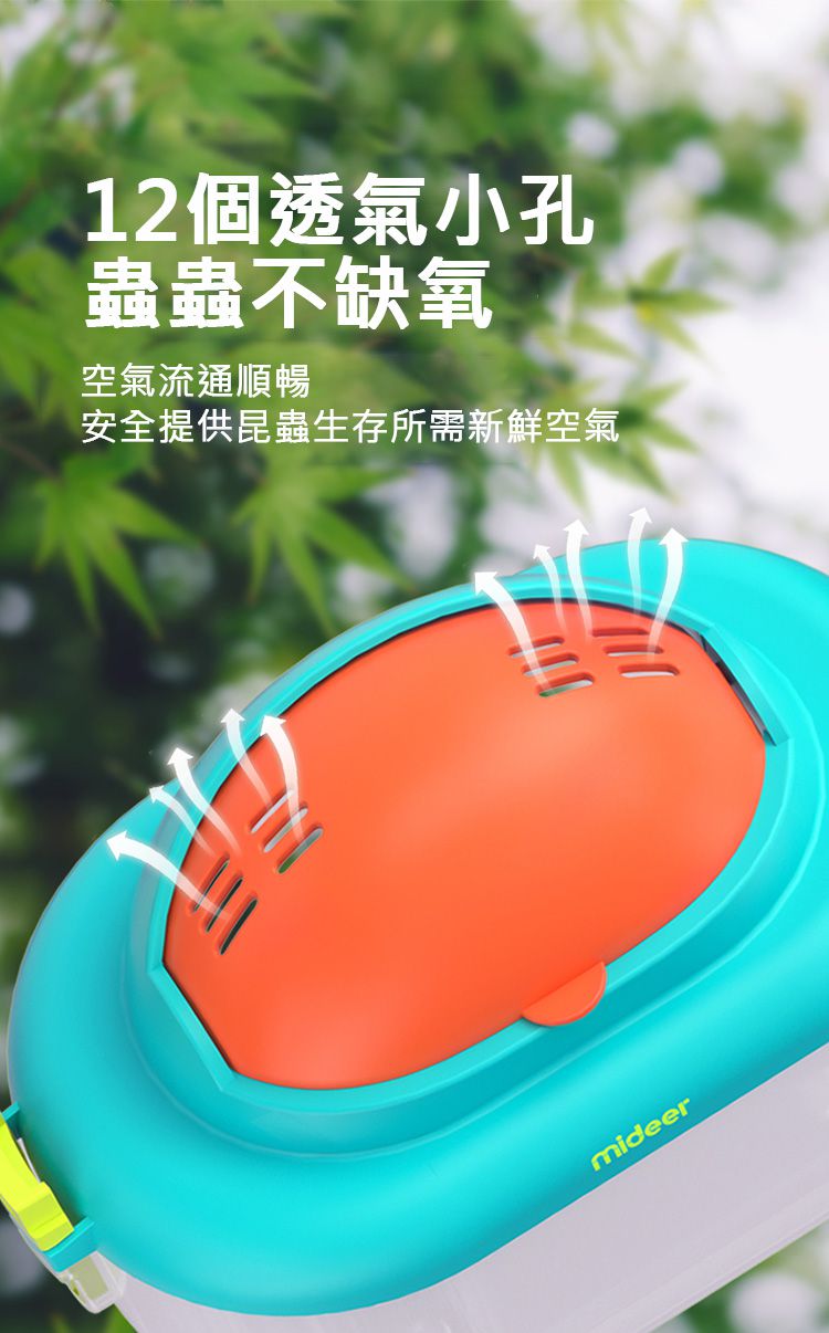 MiDeer - 昆蟲觀察盒