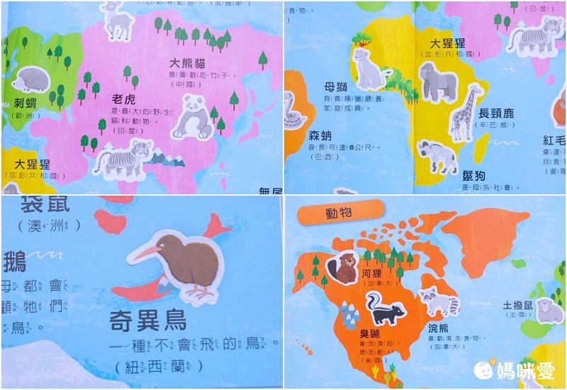 貼貼 貼紙學學看!貼出身體好好玩