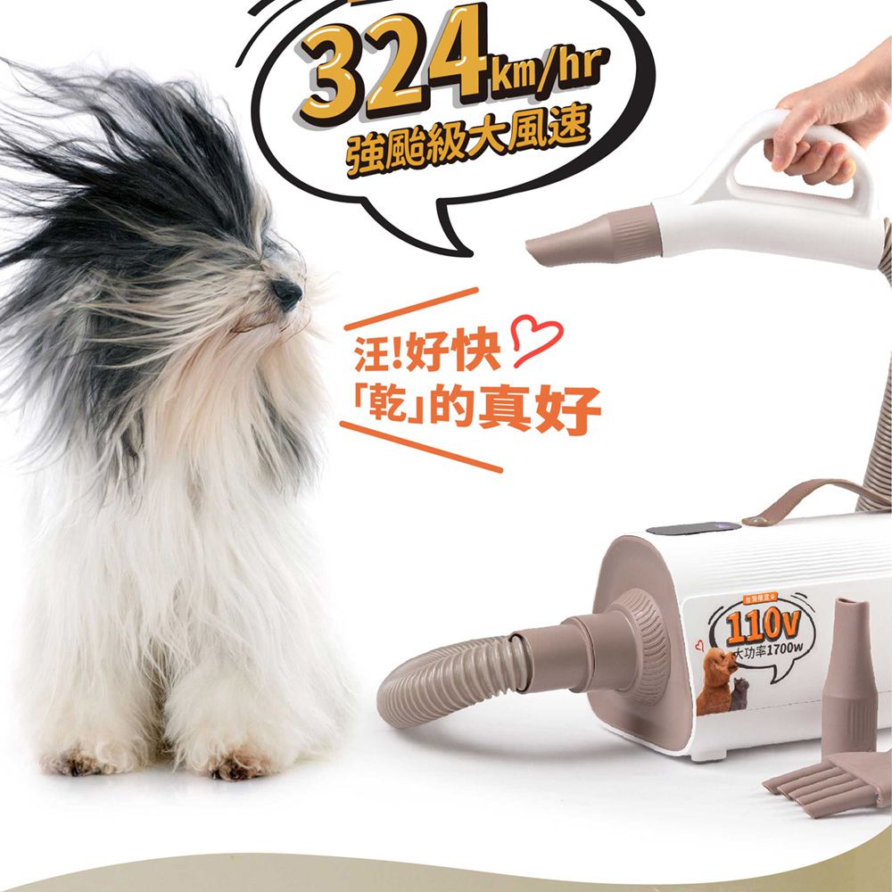 寵物溫控負離子吹乾機(JY-PD01/吹水機/寵物美容/吹風機/烘毛機/低噪音) (白色)-JY-PD01
