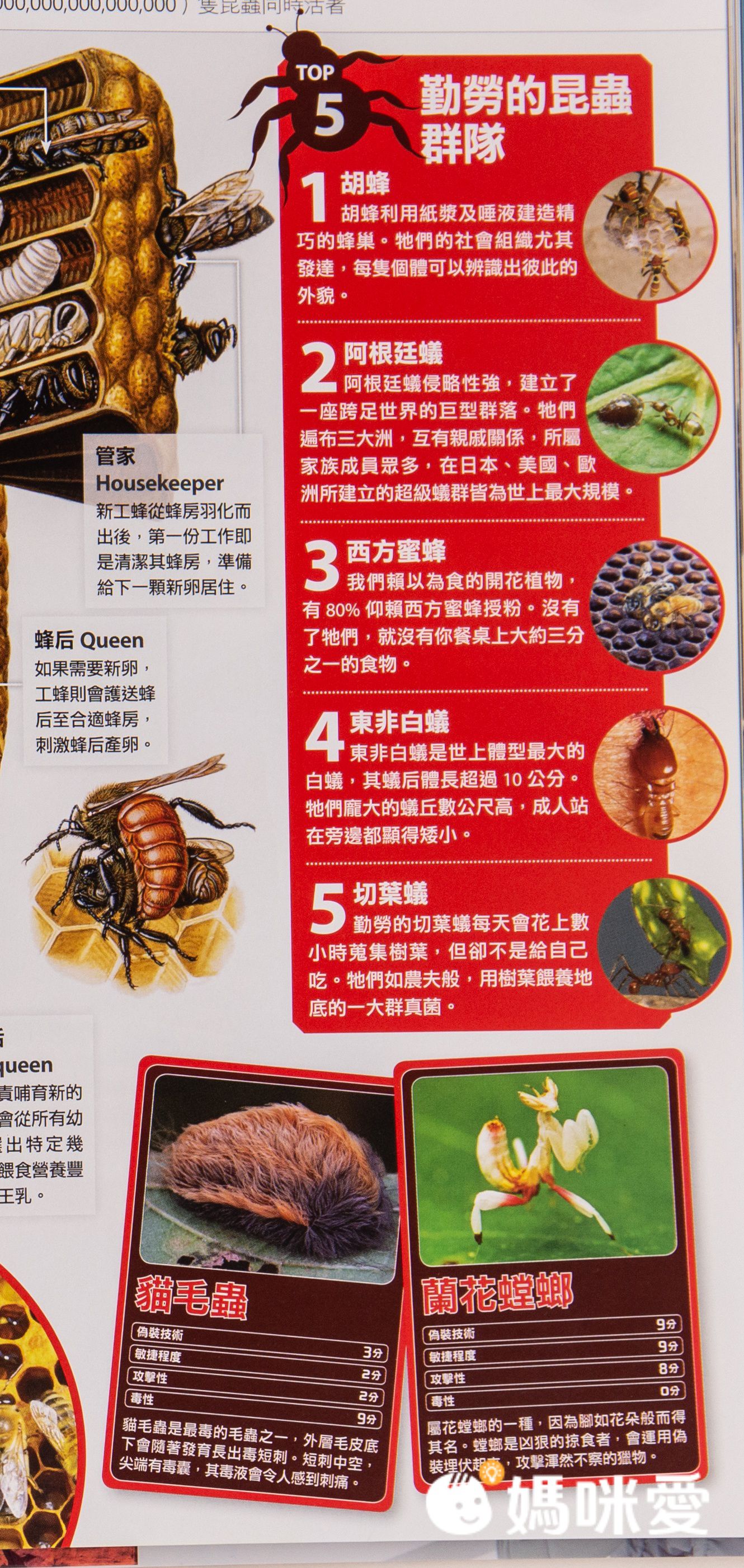 滿足全家大小的求知慾【Live ABC】How It Works知識大圖解