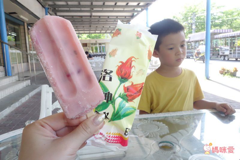 台東池上日暉國際渡假村｜頂級 Airstream 露營車