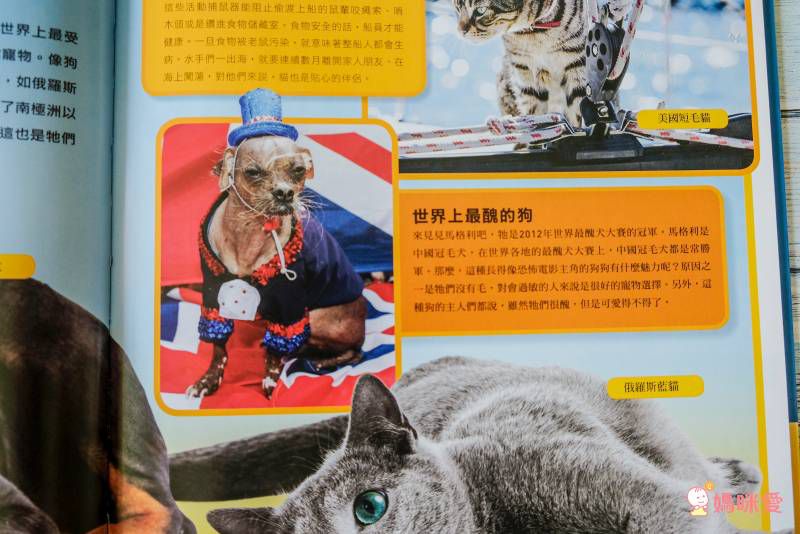 國家地理兒童百科：寵物 (精裝 / 63頁 /全彩印刷)