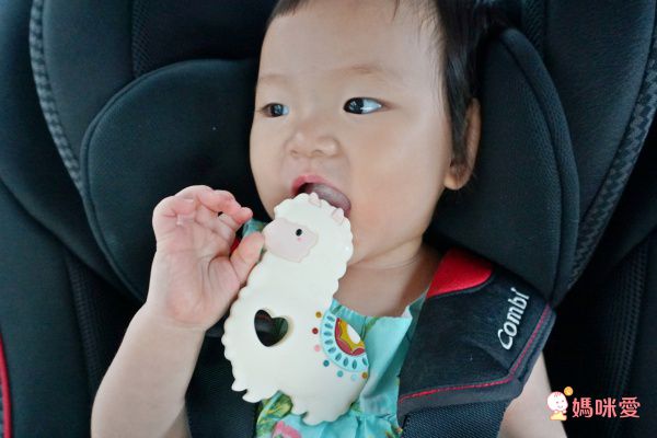  加拿大 loulou lollipop 固齒器