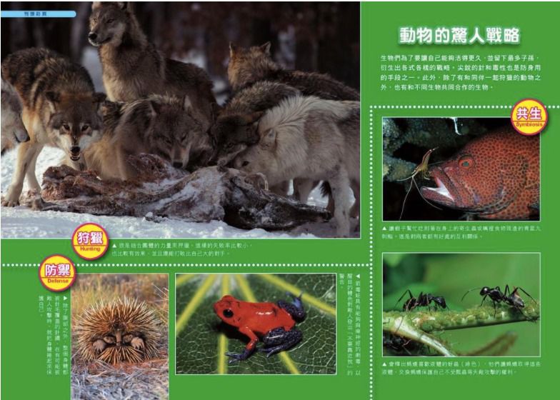 哆啦A夢科學任意門(1-5集)